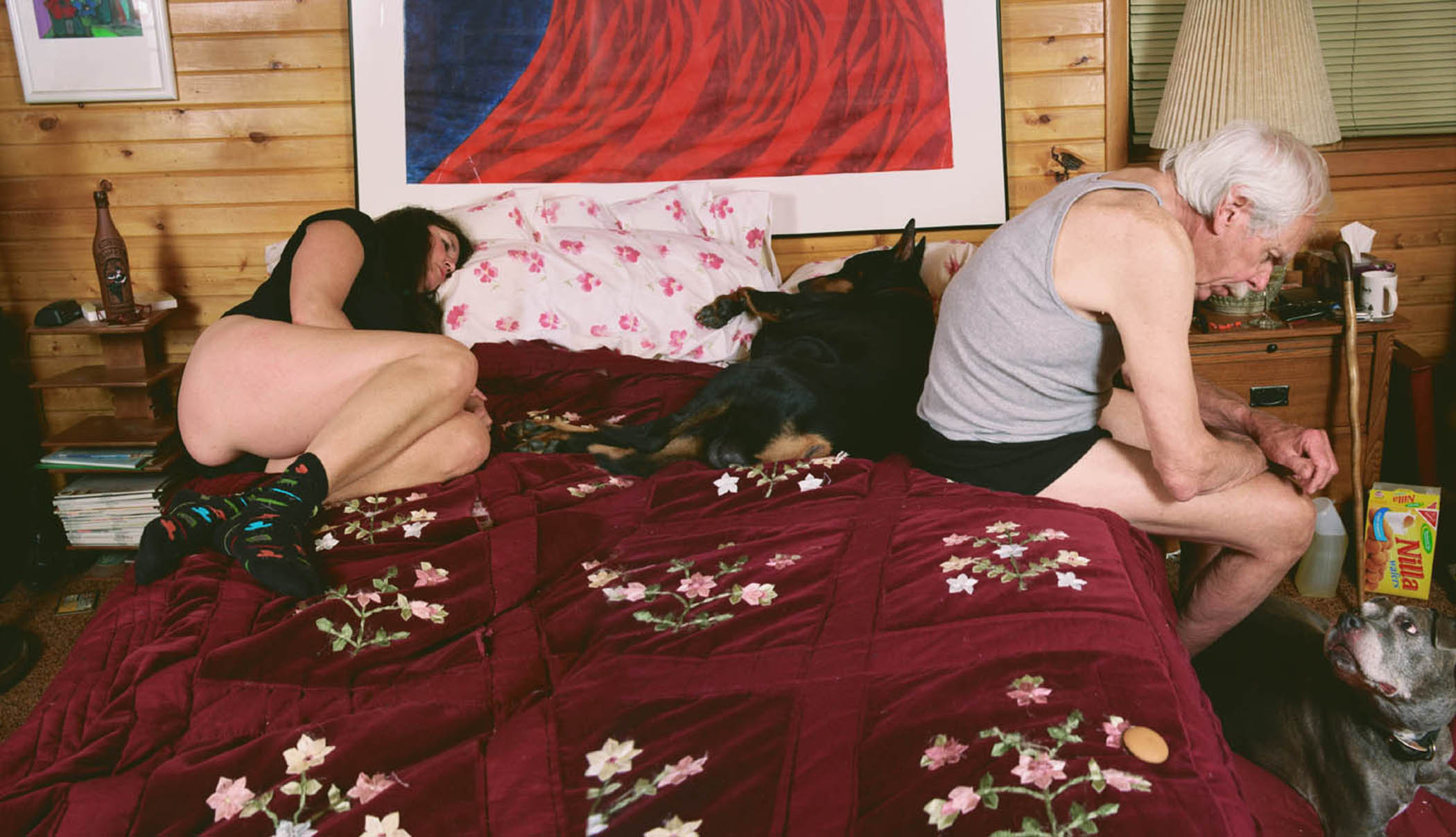 Image of Dogs Rule